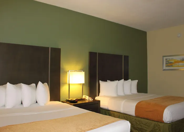 Best Western Plus North Houston Inn & Suites