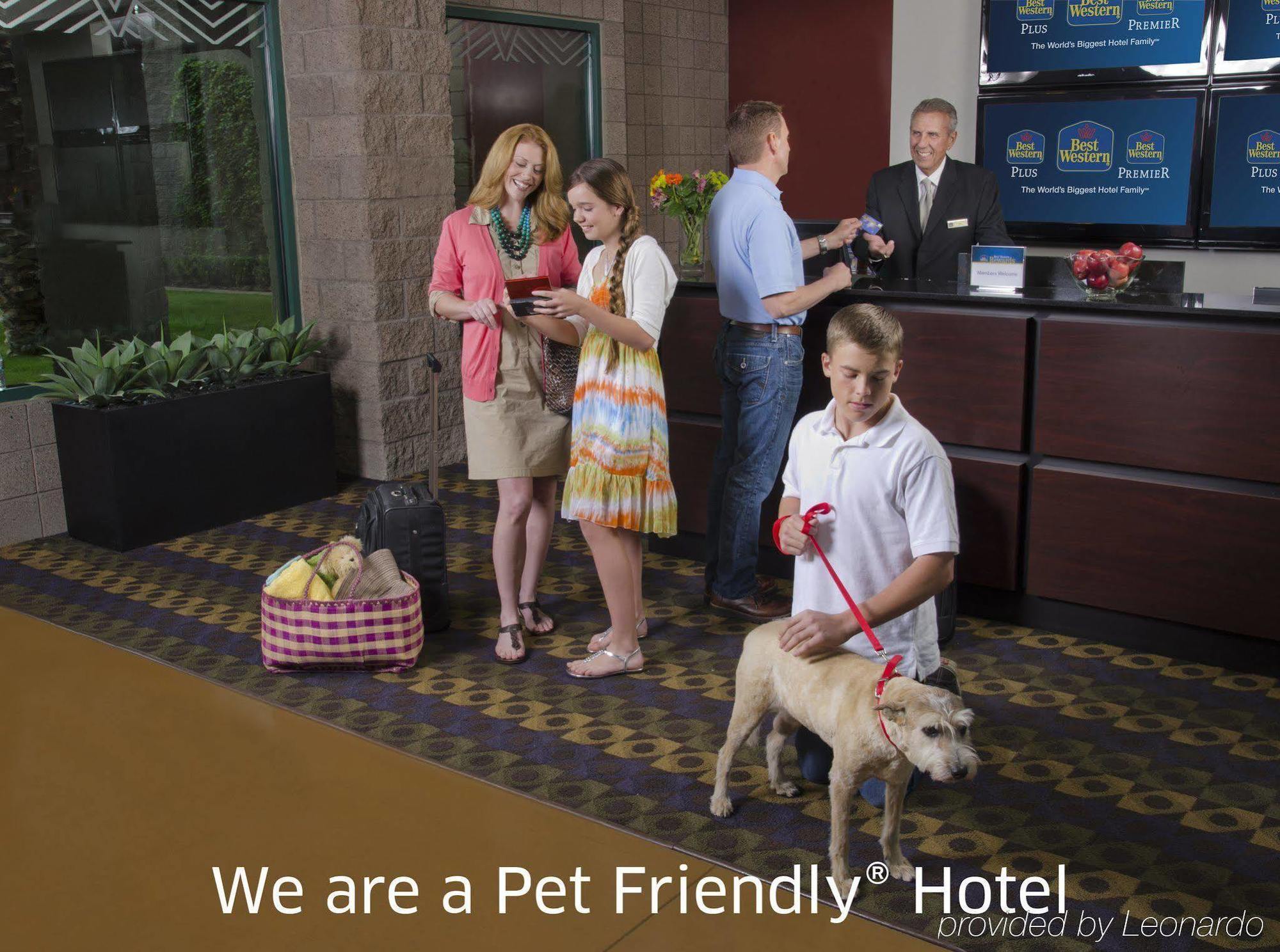 Hotel Western North & 3*